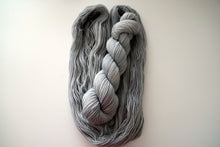 Load image into Gallery viewer, Coin Flip is Sacred