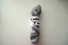 Load image into Gallery viewer, Coin Flip is Sacred