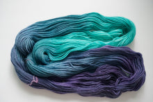 Load image into Gallery viewer, Breaking Delphinium