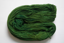 Load image into Gallery viewer, Walter White