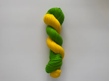 Load image into Gallery viewer, Vamonos Pest